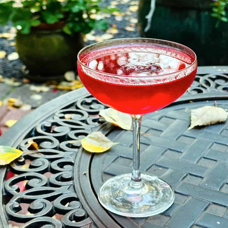 The Garden Cosmo